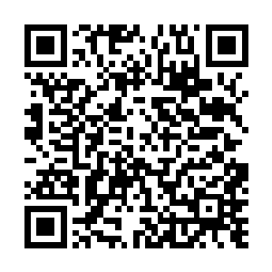 这一幕就好像是赤焰自己将手腕朝着秦宇的拳头上凑过去二维码生成