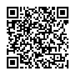 这一幕让得秦宇回想起了当初参加高考时候的情况二维码生成