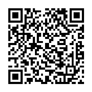 这一干天机阁的精英都会嗷嗷叫着上天去帮她摘下来二维码生成