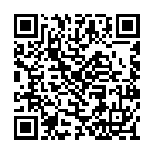 这一年……我看你这功夫好像也没高到哪儿去呀二维码生成