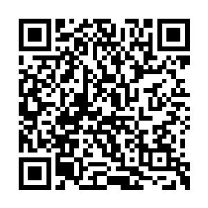 这一年多他回昌州虽然不是每次都要去看看石梅二维码生成