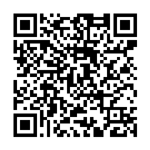 这一年金国贵族中有志向者大都已经随着军队出发二维码生成