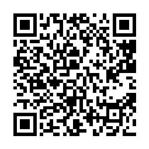 这一提案立刻遭到了除拉古斯特之外所有元老的一致反对二维码生成