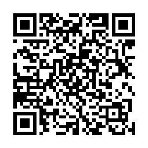 这一斩张宫主的战力已经勉强堪比小圆满三重天初期境界二维码生成