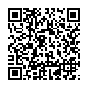 这一期的脑王争霸赛网络重播再次掀起了一个高峰二维码生成