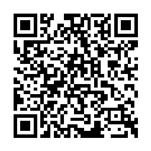 这一条线上站的都是粉嫩粉嫩的小帅哥和小妹子二维码生成