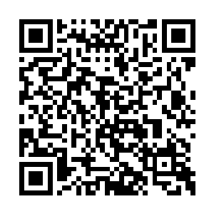 这一株乌龙草是这条七星铁线蛇用来晋级所用的二维码生成