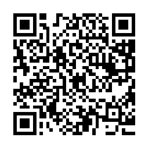 这一株仙药特殊的地方就是它是利用火山熔岩的岩浆培育而成的二维码生成