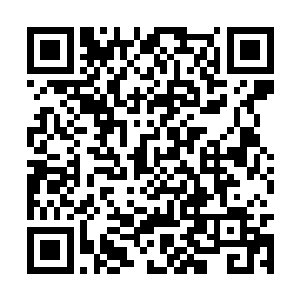 这一株引魂莲归九十八号贵宾包厢的尊贵客人所有二维码生成