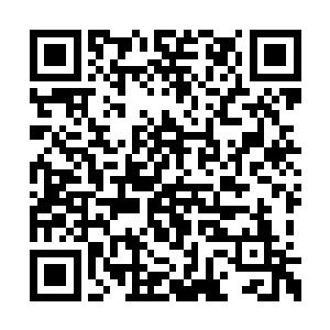 这一次他必须要将秦宇给斩杀让能泄掉心头之恨二维码生成