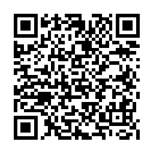 这一次可说是雷震霆和墨修尧第一次真正的交手二维码生成