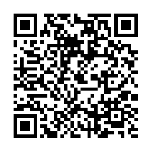 这一次哥哥门派过来这么早就是为了吸收优秀的弟子二维码生成