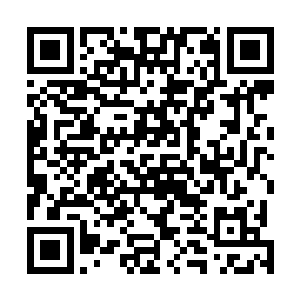 这一次回答的却不是已经羞得将头钻入了锦被之中的萱若二维码生成