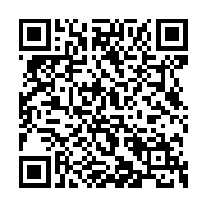 这一次在圣灵之域中得到强化的可不仅仅是他们二维码生成