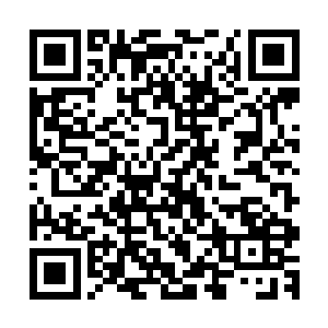 这一次大会接连出现了两位甲等资质的弟子之事很快传扬开来二维码生成