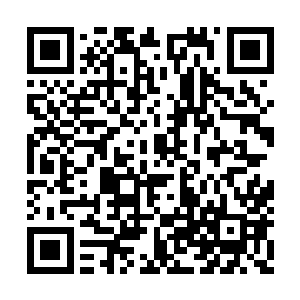 这一次张秘书的背叛对他來说无疑是个重大打击二维码生成