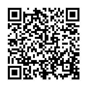 这一次我们会派若希和另外一位同事和秦国师一起去寻找西王母二维码生成