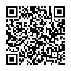 这一次拍卖会的收获可以说是大大出乎了杨戬的意料二维码生成