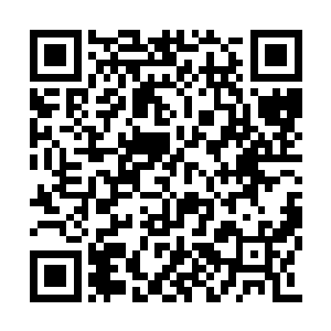 这一次撤离的确是裴元灏在一开始就有了准备的二维码生成