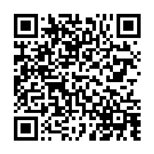 这一次无数的石头仿佛是想要将阳护法完全包裹起来一样二维码生成