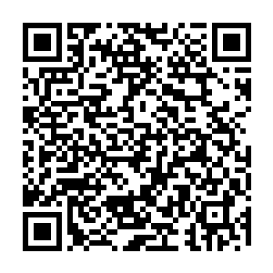 这一次是带领十几名十二星海神勇士前往加斯城参与百年一次的拍卖大会二维码生成