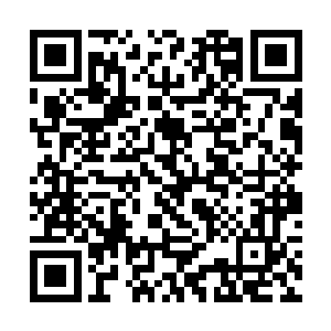 这一次未来大会肯定不像普通的法宝博览会那么简单二维码生成