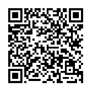 这一次洪大力很有可能能够进入鹏云星界联盟军部进修二维码生成