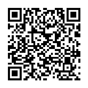 这一次的四大家族比试进入化龙湖的名额徐家一个都没有二维码生成
