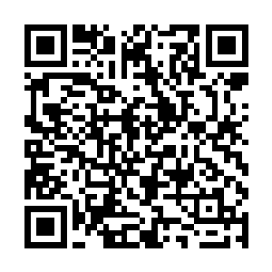 这一次竟然正好碰到陇阳郡城的万宝分行举办拍卖会二维码生成