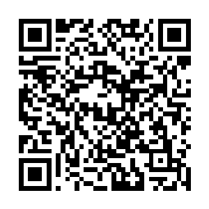 这一次莎莉之所以想要跟随着荣耀至死将整个旅程走完二维码生成