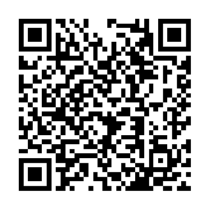 这一次被抓入秋日猎场的传奇强者差不多有上百个二维码生成