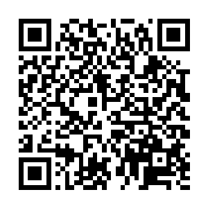 这一段精灵古神树的树枝就又恢复到了从前的那般模样二维码生成