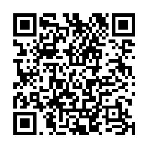 这一波的上百人等连同那黑脸王掌旗已是又被伊伊给拿下二维码生成