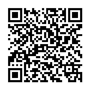 这一波lcd一方最后竟然只剩下了亚索和奥巴马俩人二维码生成