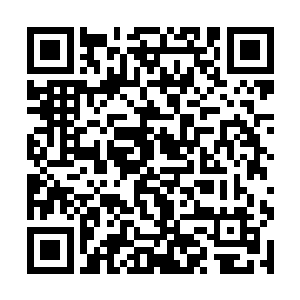 这一点从每个被离天刀划开的裂缝内出现的基层军队二维码生成