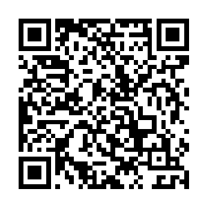 这一点他们两个能够从阵图内显示出来的威能感受到二维码生成