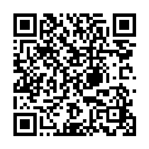 这一点让丁长生对罗子涵的人品认同度要远远高于陈二蛋二维码生成