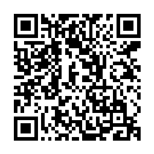 这一点金之本源带来的道念比之其他本源明显要清晰和庞大得多二维码生成