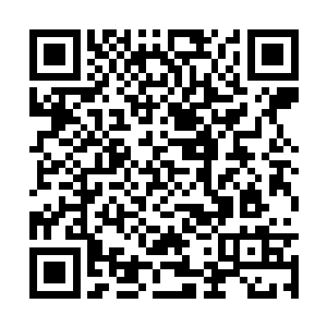 这一爪若是真的抓实了那女子的左肩只怕已经碎了二维码生成