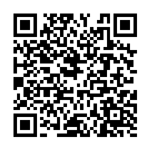 这一界的圣子人选全部都进入了星月界内进行试炼二维码生成