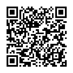 这一群家伙一看就是请了人才去破解先前的遗迹的二维码生成