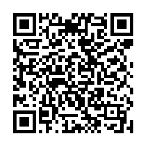 这一记回旋踢纯粹是凭借马文强大的身体素质完成的二维码生成