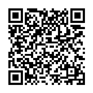 这一路他何尝不是在观察这位金玉其外的北凉世子二维码生成