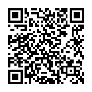 这一路走来跟在他身后的队伍几乎是超过了千人二维码生成