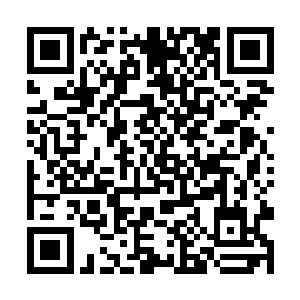 这一道靓丽的风景线就是被东南航空公司解雇了之后二维码生成