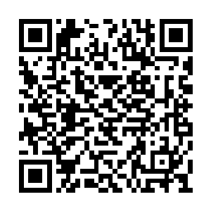 这三十几个圣级修士只有两个圣级九层后期巅峰二维码生成