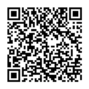 这三十只狼差不多是在张铁刚刚进入魂劫之境后就一起从芦苇丛中钻了出来二维码生成