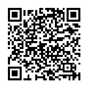 这三十多岁的男子便站在台阶上十分随意的一拱手二维码生成