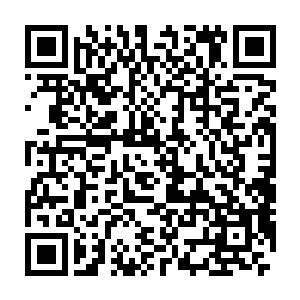 这三品巅峰的药鼎可以说是大部分炼药师所能使用的最顶级的药鼎了二维码生成