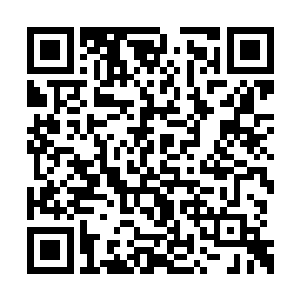 这三处铺子每天限量发售三五件东海诸国的特产二维码生成